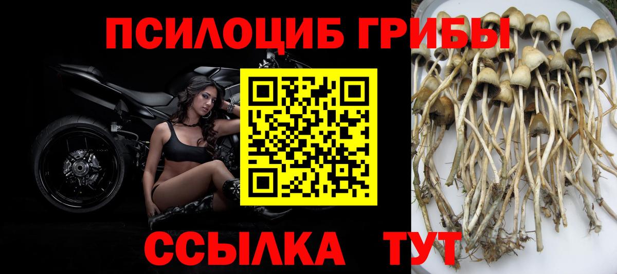 Псилоцибиновые грибы мухоморы Ульяновск