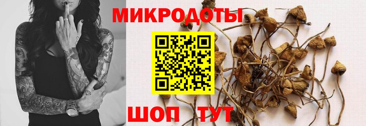Галлюциногенные грибы мицелий  Псилоцибиновые грибы мицелий  Вход с VPN  Ульяновск 